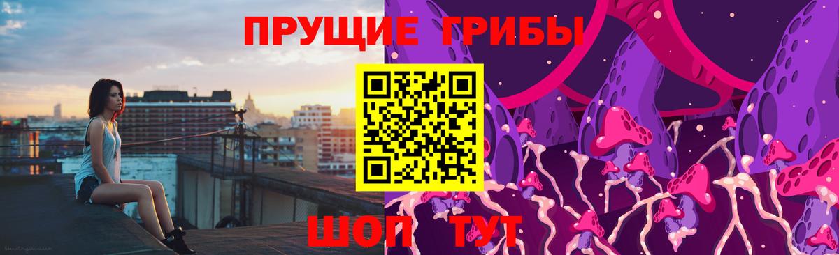 Галлюциногенные грибы мицелий  Вход с VPN  Хасавюрт  Псилоцибиновые грибы GOLDEN TEACHER 
